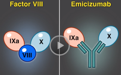 Nueva molécula, que “imita” al factor VIII, para pacientes con hemofilia leve o con inhibidor, útil en el control de los sangrados