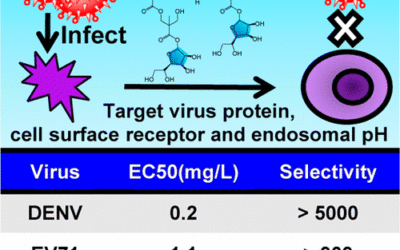 Molécula universal contra cualquier virus