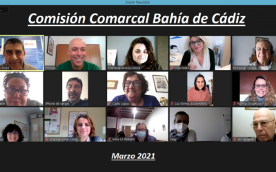 Comisión Comarcal de la Bahía de Cádiz – FEGADI COCEMFE