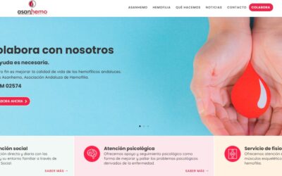 Asanhemo Presenta Nueva Web