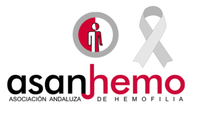 Nos unimos a CERMI Andalucía con el lazo gris