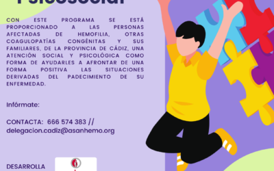 Programa de Atención Psicosocial en la Provincia de Cádiz con la Colaboración de Diputación De Cádiz