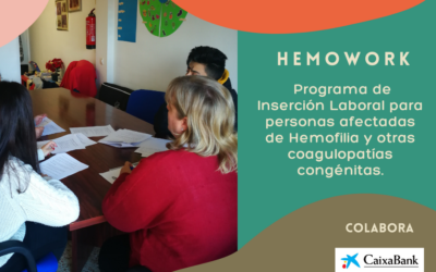 Programa Inserción Laboral- HEMOWORK