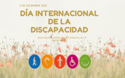 Día Internacional de la Discapacidad Granada.