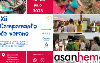 XII CAMPAMENTO DE VERANO ASANHEMO
