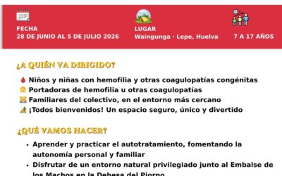 Campamento de Verano 2026 · XVI Edición